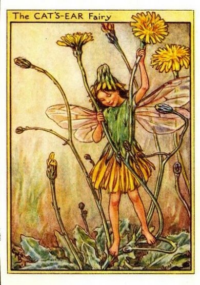 2012 – Page 12 – Flower Fairy Prints