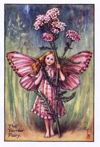 Yarrow Flower Fairy – Flower Fairy Prints