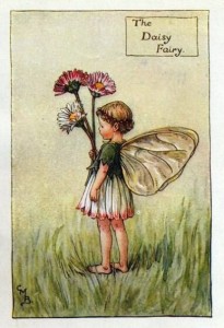 Daisy Flower Fairy – Flower Fairy Prints