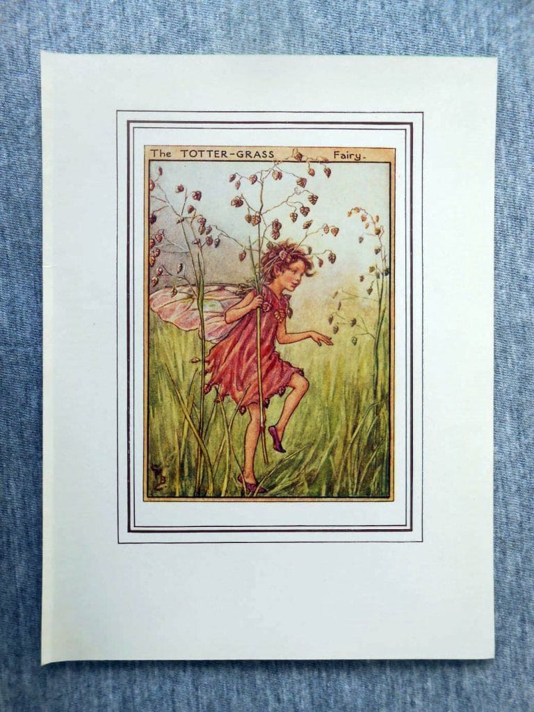 Totter-Grass Flower Fairy – Flower Fairy Prints