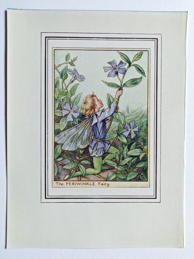 Periwinkle Fairy Flower Fairy Prints