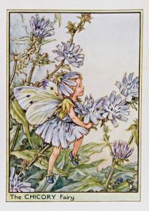 Wayside Fairies – Flower Fairy Prints