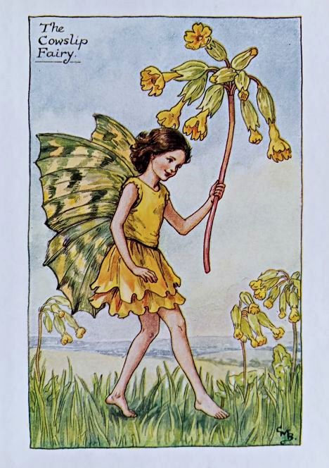 Spring Fairies – Flower Fairy Prints