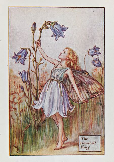 Summer Fairies – Flower Fairy Prints