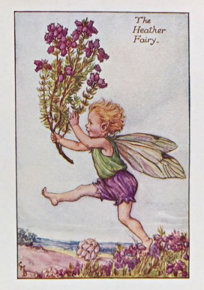 Summer Fairies – Flower Fairy Prints