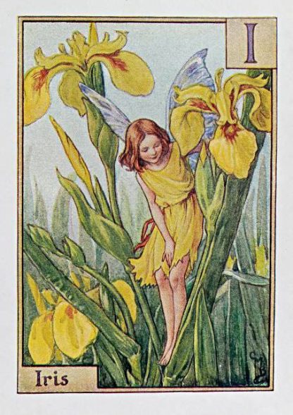 Alphabet Fairies – Flower Fairy Prints