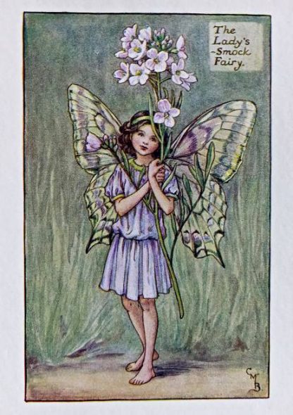 Spring Fairies – Flower Fairy Prints