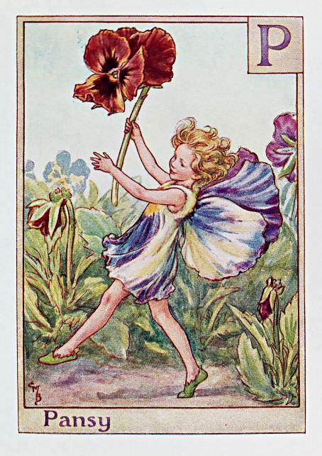 Alphabet Fairies – Flower Fairy Prints