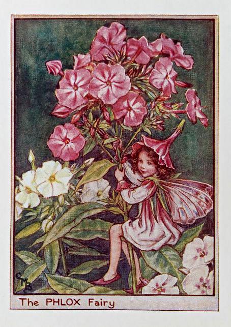 Garden Fairies – Flower Fairy Prints