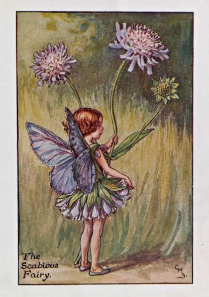 Summer Fairies – Flower Fairy Prints