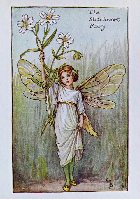 Spring Fairies – Flower Fairy Prints