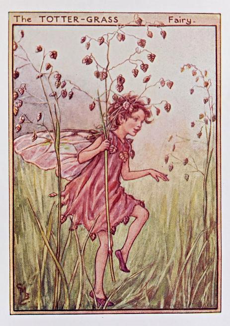 Wayside Fairies – Flower Fairy Prints