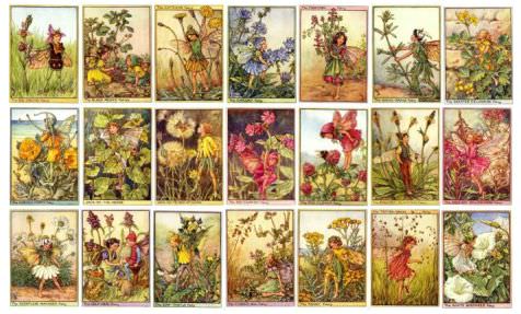 Shop – Flower Fairy Prints