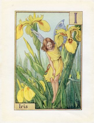 Iris Flower Fairy Print Alphabet Letter I 2000x